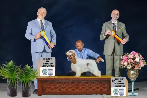 Brisa - Campeã como melhor jovem em fevereiro.